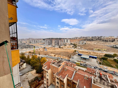 WhatsApp Image 2026-02-17 at 11.19.18.jpeg